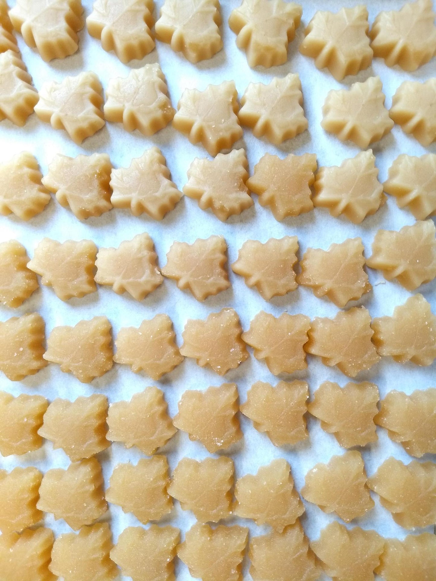 Maple Sugar Candies