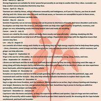 Essential Oil Roll-On Zodiac 10 ml