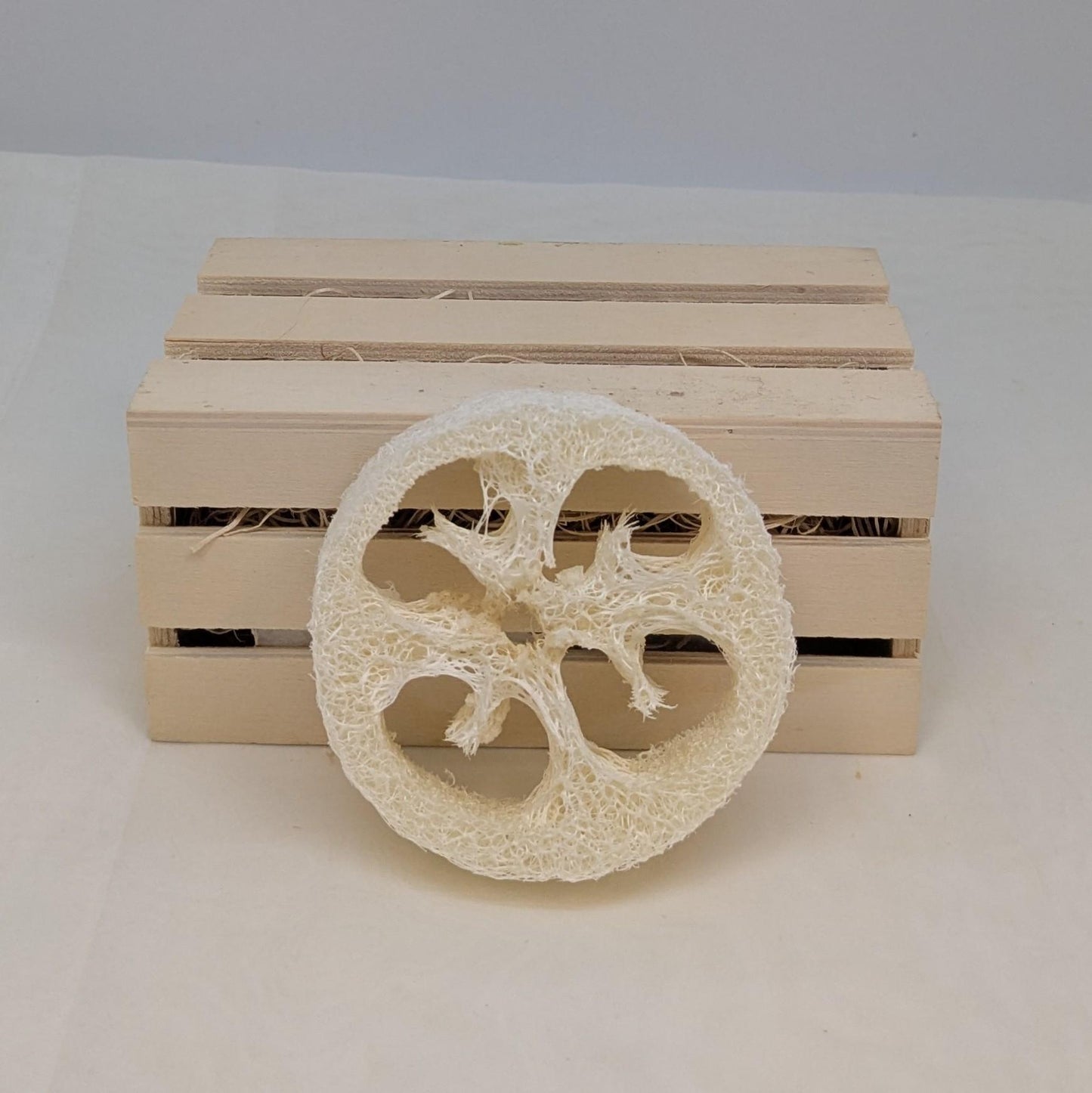 Luffa slice