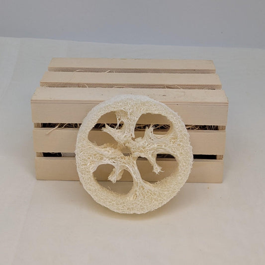 Luffa slice